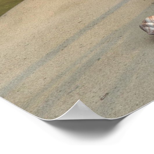 Poster Petite Sirène (Coin)