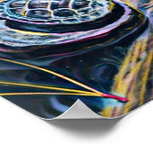 Poster Petite tortue (Coin)