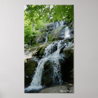 Poster petites boules