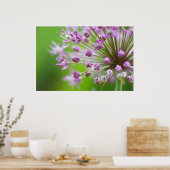 Poster Petites étoiles (Cuisine)