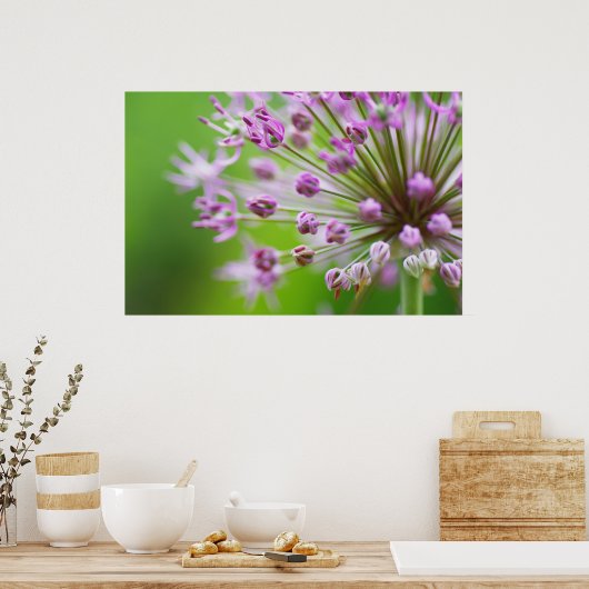 Poster Petites étoiles (Cuisine)