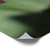 Poster Petites Fleurs (Coin)