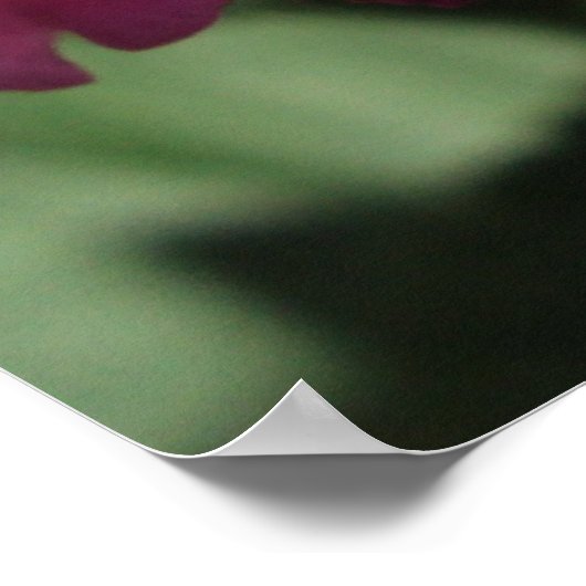 Poster Petites fleurs (Coin)