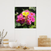 Poster Petites Fleurs (Cuisine)