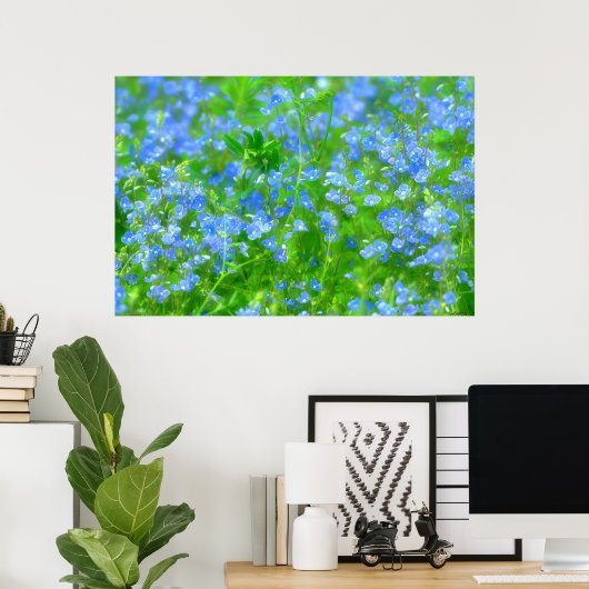 POSTER PETITES FLEURS BLEUES (Bureau à domicile)