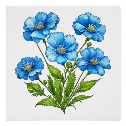 Poster Petites Fleurs Bleues (Devant)