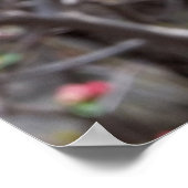 Poster petites fleurs rouges (Coin)