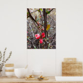 Poster petites fleurs rouges (Cuisine)