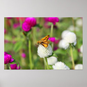 Poster Petites poches 1
