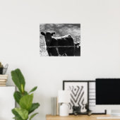 Poster Petites vaches noires et blanches dans le champ 16 (Bureau à domicile)