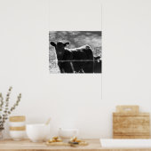 Poster Petites vaches noires et blanches dans le champ 16 (Cuisine)