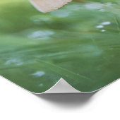 Poster Petits champignons Photo nature (Coin)