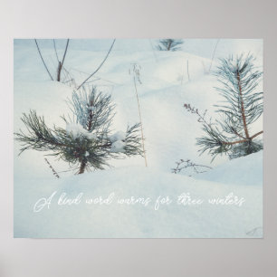 Poster Petits épicéas sous la neige