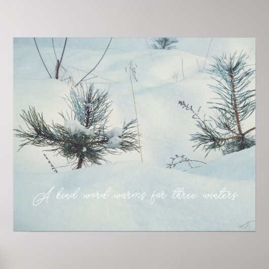 Poster Petits épicéas sous la neige (Devant)