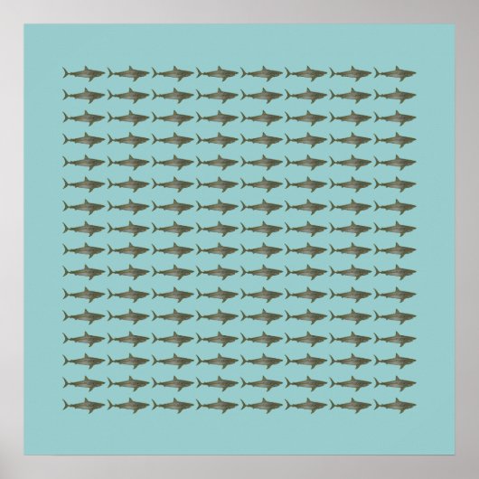 Poster petits requins (Devant)