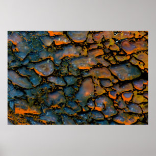 Poster Petrified dinosaure bone