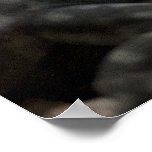 Poster Petrosaurus thalassinus (Coin)