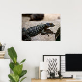 Poster Petrosaurus thalassinus (Bureau à domicile)