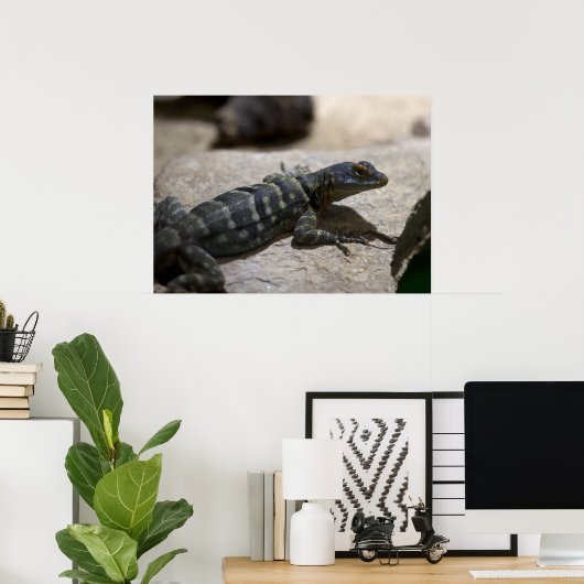 Poster Petrosaurus thalassinus (Bureau à domicile)