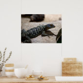 Poster Petrosaurus thalassinus (Cuisine)