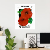 Poster Petunia (Bureau à domicile)