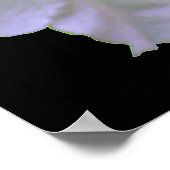 Poster Petunia Green Glow (Coin)