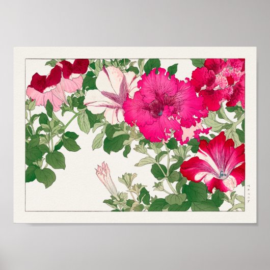 Poster Petunia par Tanigami Konan (Devant)
