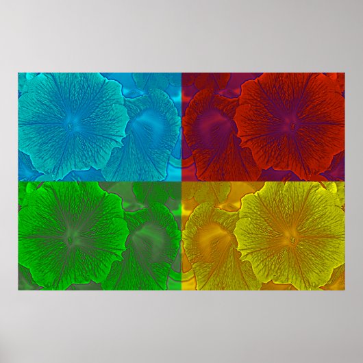 Poster Petunia Pop (Devant)