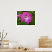 Poster Pétunia rose (Cuisine)