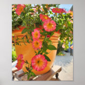 Poster Pétunias coraux dans un pot (Devant)