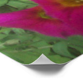 Poster Pétunias rose (Coin)