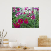 Poster Pétunias rose (Cuisine)