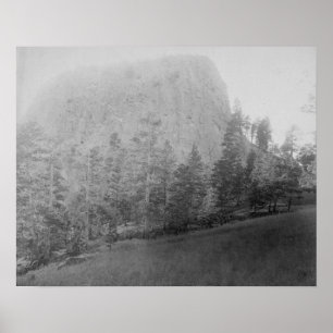 Poster Peu de champ et arbres de Beyod de butte de