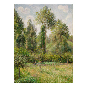 Poster Peupliers, Éragny Camille Pissarro