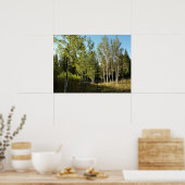 Poster Peupliers le long du sentier Moose Ponds à Grand T (Cuisine)