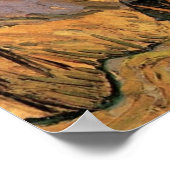 Poster Peupliers sur une route à travers des collines par (Coin)