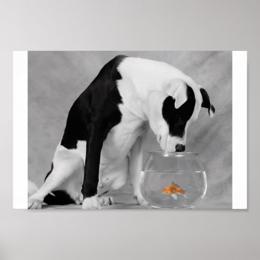 Poster Peut-être quelque chose à manger ? (Devant)