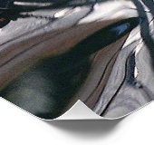 Poster Pez fantasma (Coin)