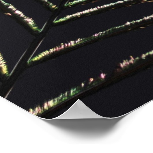 Poster Pfauenfeder (Coin)