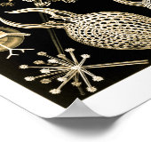 Poster Phaeodaria | 61 Or | Ernst Haeckel | (Coin)