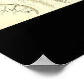 Poster Phaeodaria - Plaque 1-Kunstformen der Natur (Coin)