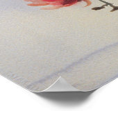 Poster Phalaenopsis (Coin)