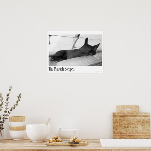 Poster Pharaon Hound | Pharoah Sleepeth (Cuisine)