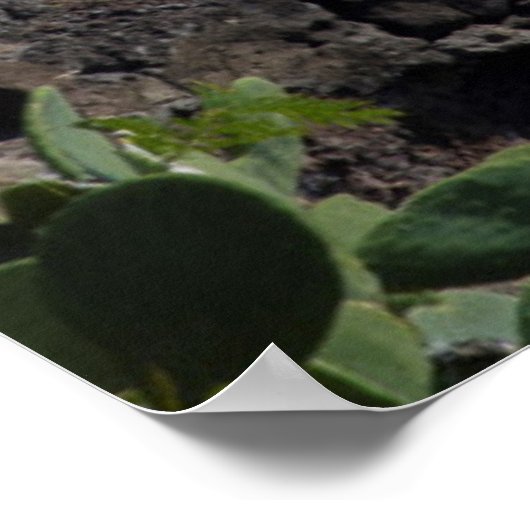 Poster Phare côtier, Hawaï (Coin)