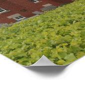 Poster Phare de 40 Mile Point (Coin)