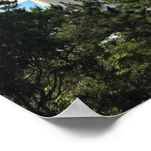 Poster Phare de Barnegat (Coin)