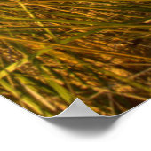 Poster Phare De Big Sable Point Sur Le Lac Michigan (Coin)