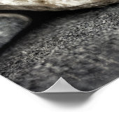 Poster Phare de Byron Bay (Coin)