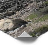 Poster Phare de Californie à Aruba (Coin)