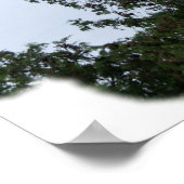 Poster Phare de Cana Island (Coin)